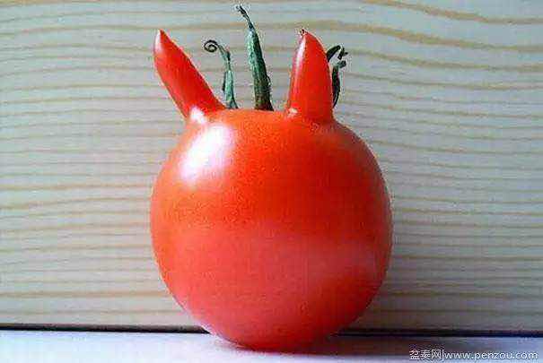 想做恶魔的西红柿